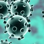 Aeroportos da Ásia reforçam controles sanitários após surto do vírus Nipah