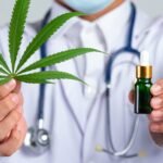 Aval da Anvisa para cultivo de cannabis é considerado “marco histórico”, diz presidente de associação