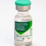 Anvisa amplia indicação da vacina contra HPV para prevenção de cânceres de orofaringe, cabeça e pescoço