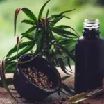 Canabidiol pode reverter efeitos do Alzheimer como a perda de memória, sugere estudo