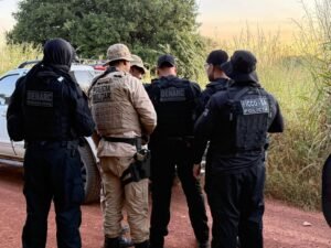 Operação policial encontra 50 mil pés de maconha no Oeste da Bahia