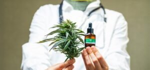 Anvisa libera exportação de produtos à base de cannabis medicinal produzidos no Brasil