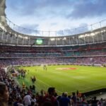 Bahia x Botafogo: onde assistir, prováveis escalações e arbitragem