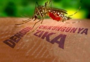 Santo Antônio de Jesus registra casos de dengue, chikungunya e zika; secretaria alerta para prevenção