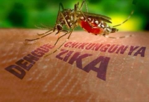 Santo Antônio de Jesus registra casos de dengue, chikungunya e zika; secretaria alerta para prevenção