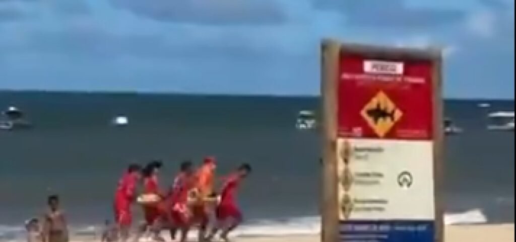 Pernambuco registra segundo ataque de tubarão em dois dias; jovem está na UTI