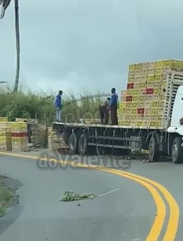 Caminhão carregado de frangos tomba entre Varzedo e São Miguel das Matas nesta quarta-feira