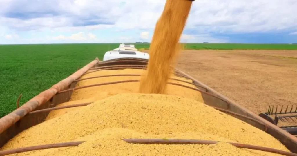 PIB do agronegócio baiano atinge R$ 19,2 bilhões no primeiro trimestre de 2026