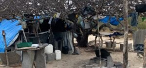 Vinte trabalhadores são resgatados de condições análogas à escravidão no norte da Bahia