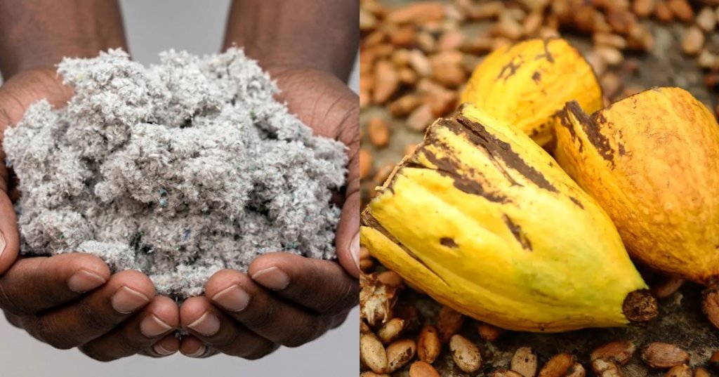 Novas tarifas dos EUA afetam 1,8% da exportação do agronegócio na Bahia