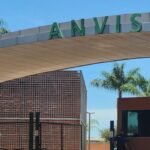 Anvisa aprova registro de novo medicamento para câncer no sistema linfático