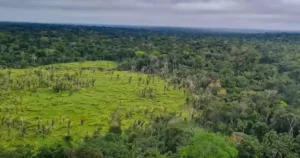 Desmatamento atinge 1,7% de terras indígenas e Amazônia registra menor índice em 11 anos