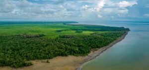 Ibama autoriza Petrobras a perfurar mais três poços na Foz do Amazonas